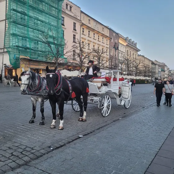 Kraków 13