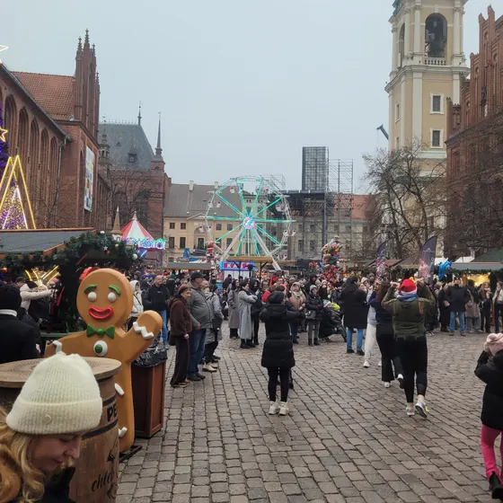 Toruń 5